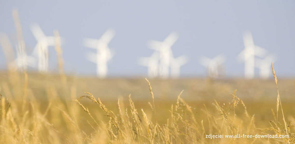 Read more about the article Ustawa o inwestycjach w zakresie elektrowni wiatrowych – podsumowanie