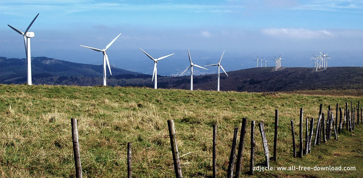 Read more about the article PSE: znaczący wzrost produkcji energii z farm wiatrowych