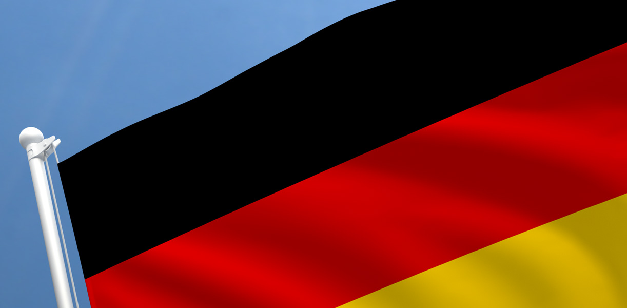 Read more about the article Niemcy rozstrzygnęli pierwszą aukcję dla biomasy