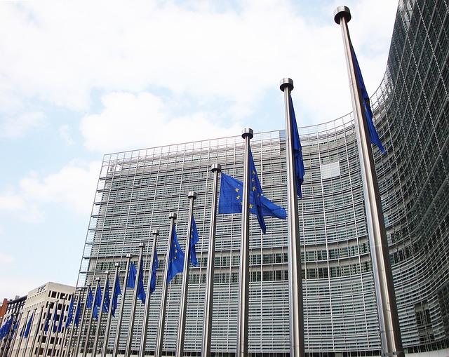 Read more about the article Inwestorzy rynku OZE chcą ochrony UE