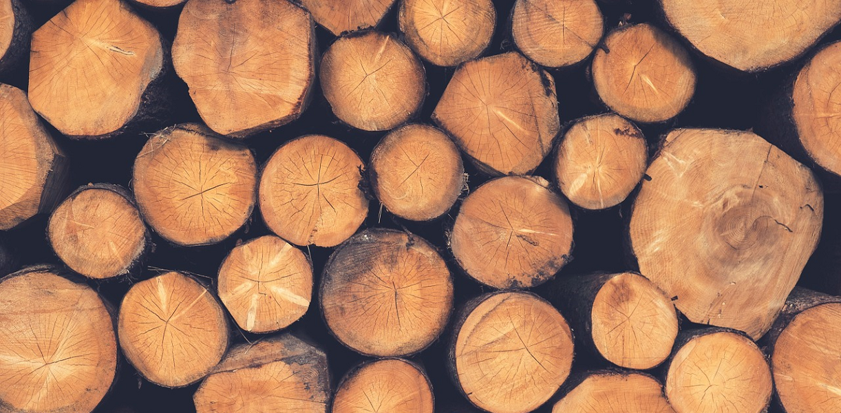 Read more about the article MŚ: konsultacje projektu rozporządzenia w sprawie szczegółowych cech drewna energetycznego