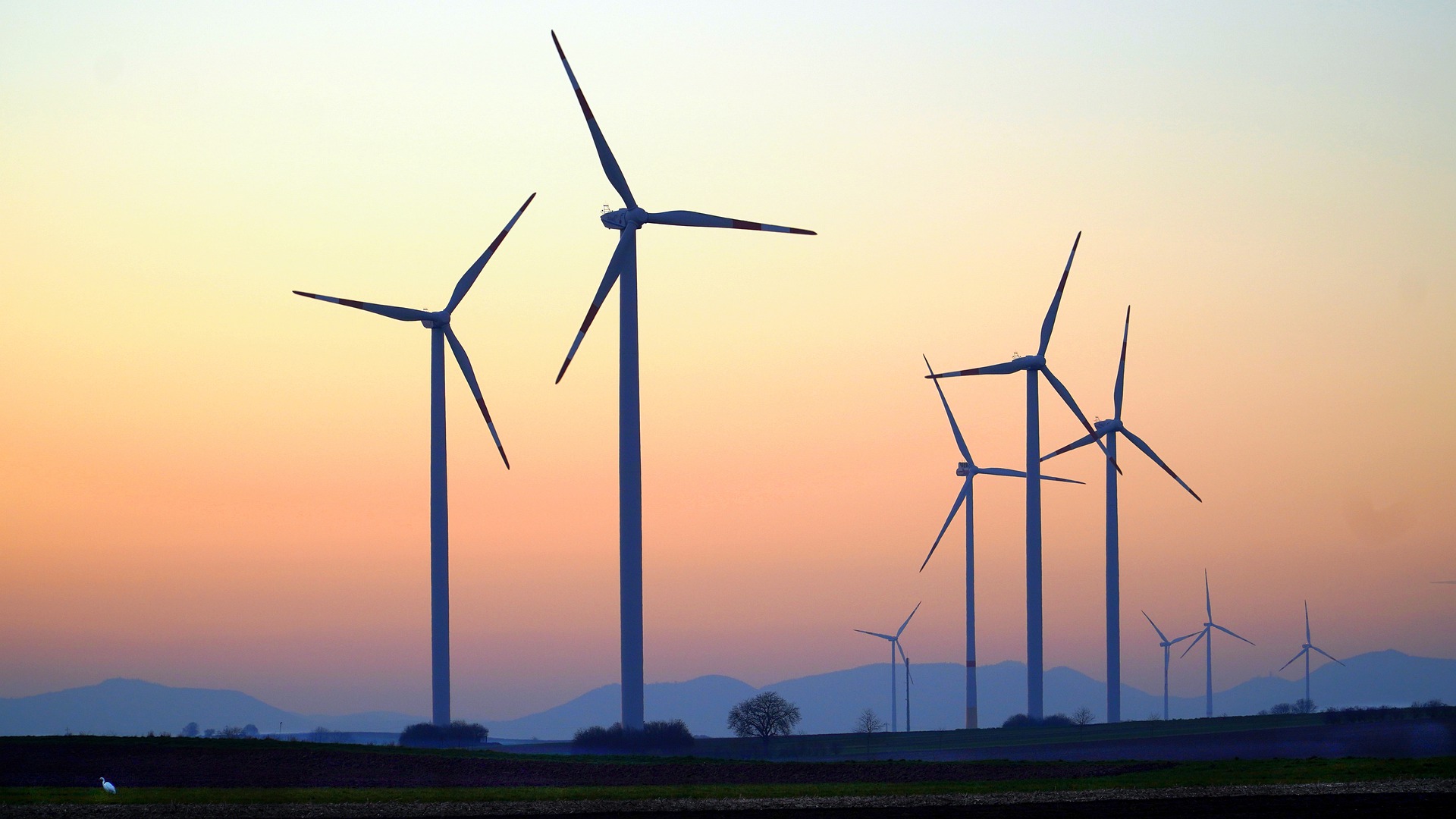 Rozporządzenie Rady ustanawiające ramy służące przyspieszeniu wdrażania rozwiązań w zakresie energii odnawialnej